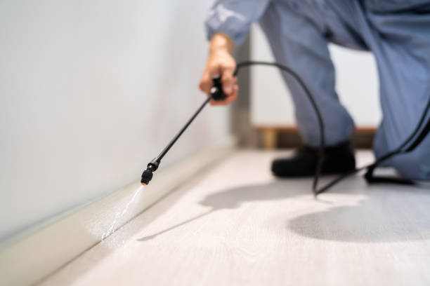 Licensed Pest Control service in North St. Paul, MN - Show Me Pest Control